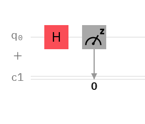 Quantum Bits